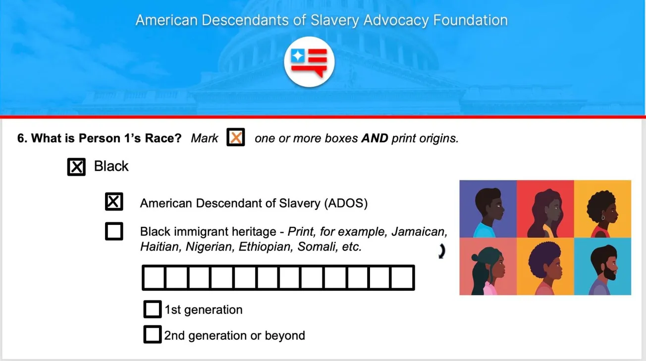 What's in a name: Black American descendants of slavery and the quest for a distinct ethnic designation