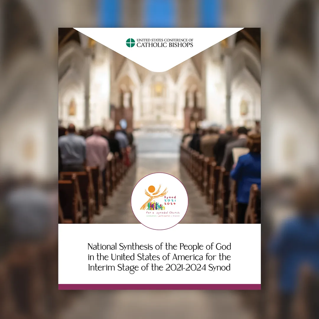 National synthesis for interim synod stage notes zeal, division in U.S. Catholic Church