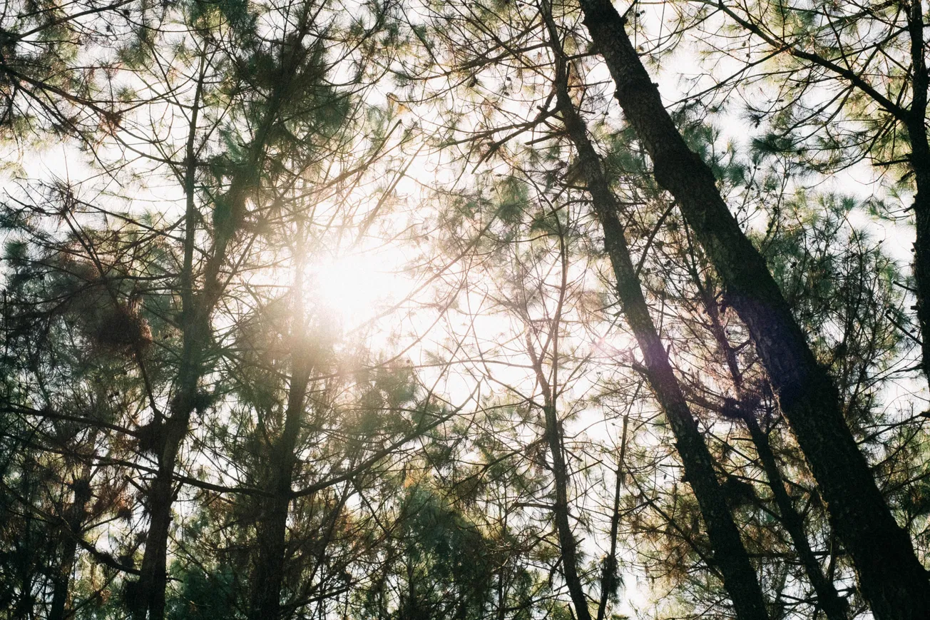 Poem: SUNSHINE AND DAYLIGHT